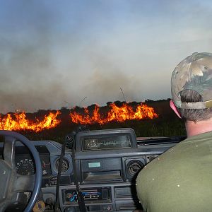 Bush Fires CAR