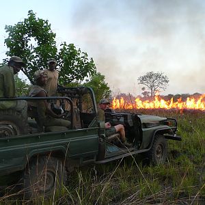 Bush Fires CAR