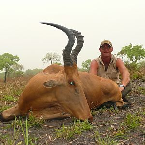 Very good 24' inches lelwel hartebeest hunted in Central African Republic