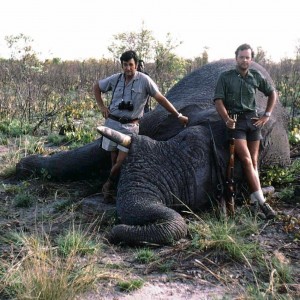 Harry Selby with elephant