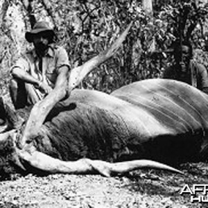 Jorge Alves de Lima, Professional Hunter, with Lord Derby Eland