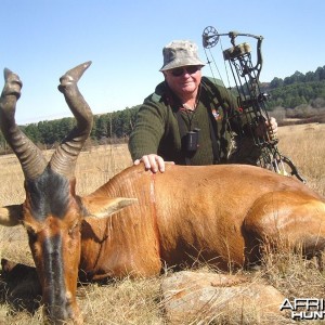 Good Hartebeest