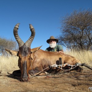 Bowhunting Red Hartebeest