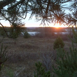 The view from my treestand on opening morning, US