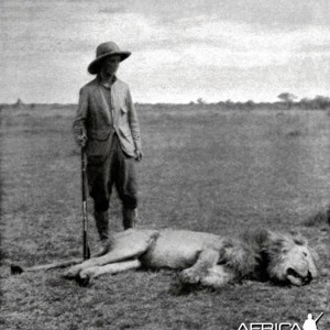 Kermit Roosevelt and his big lion