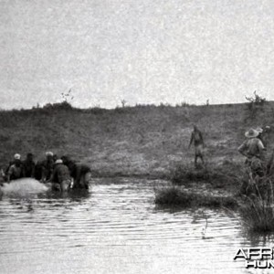 Landing the hippo shot by Theodore Roosevelt