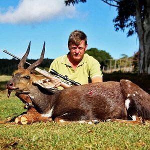 Hunt Bushbuck South Africa