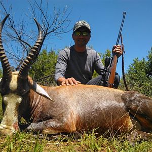 South Africa Hunt Blesbok