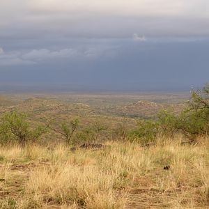 Hunting Namibia