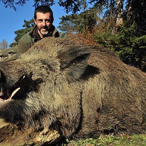Hunting Wild Boar France