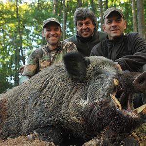 France Hunting Wild Boar