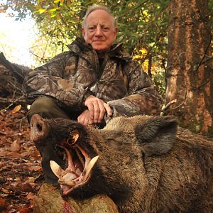 Wild boar Hunting in France