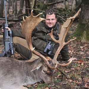 Fallow Deer Hunting in France