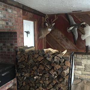 My trophy/mancave/bar room