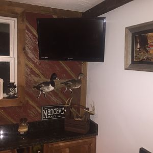 My trophy/mancave/bar room