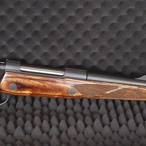 .450 Rigby Rifle