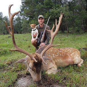 South Africa Hunt Fallow Deer