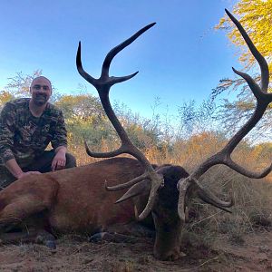 Hunting Stag Argentina