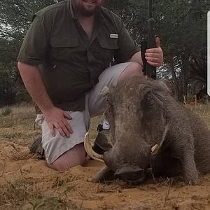 Warthog Hunting in South Africa