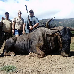 Hunting Blue Wildebeest 3S Safaris