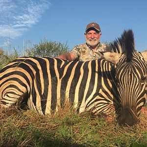 Hunt Burchell's Plain Zebra South Africa