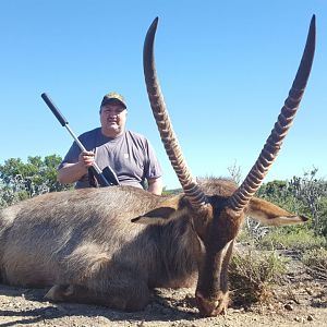 South Africa Hunting Waterbuck