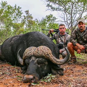 Cape Buffalo Hunt in Zimbabwe