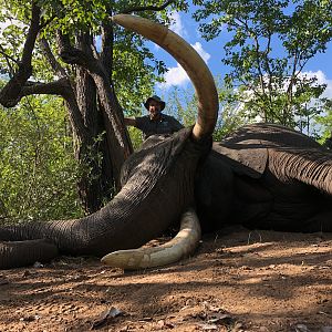 Hunting Elephant Zimbabwe