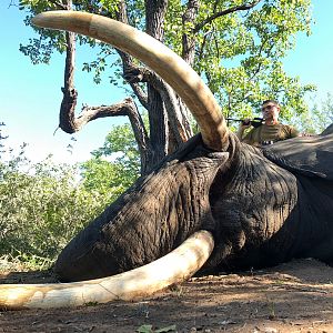 Zimbabwe Elephant Hunt