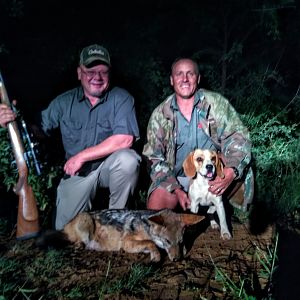 Jackal Hunt South Africa