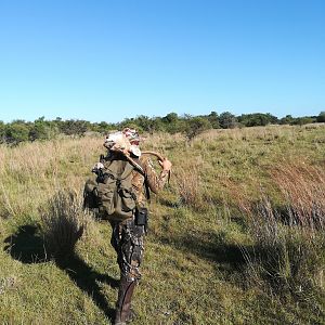 Hunting Axis Deer Argentina