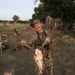 Red Stag Skull