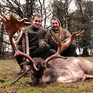 Hunt Fallow Deer France