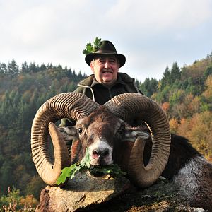 France Hunting Mouflon