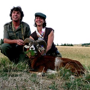 Hunting Mouflon France