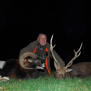 France Hunt Mouflon & Sika Deer