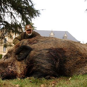 France Hunting Wild Boar