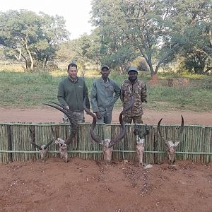 South Africa Trophy Hunt