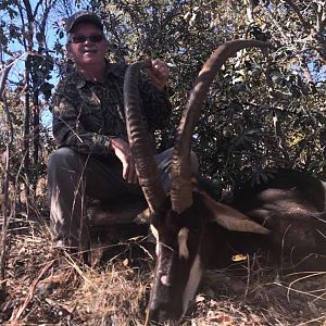 South Africa Hunting Sable Antelope