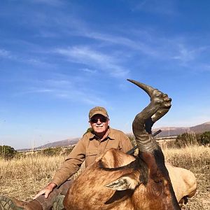 Hunt Red Hartebeest in South Africa