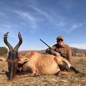 Red Hartebeest Hunting South Africa