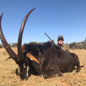 South Africa Hunting Sable Antelope