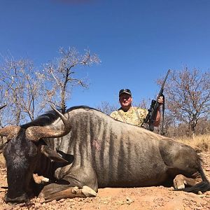 Hunt Blue Wildebeest in South Africa