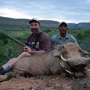 Warthog Hunt in South Africa