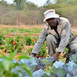 Our Organic Garden South Africa