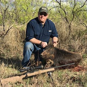 Blackbuck Hunting Texas