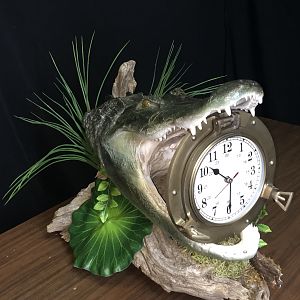 Alligator Taxidermy