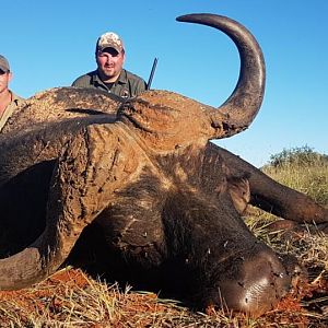 South Africa Hunt Cape Buffalo