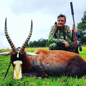 South Africa Hunting Blesbok