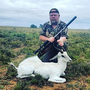 White Springbok Hunt in South Africa